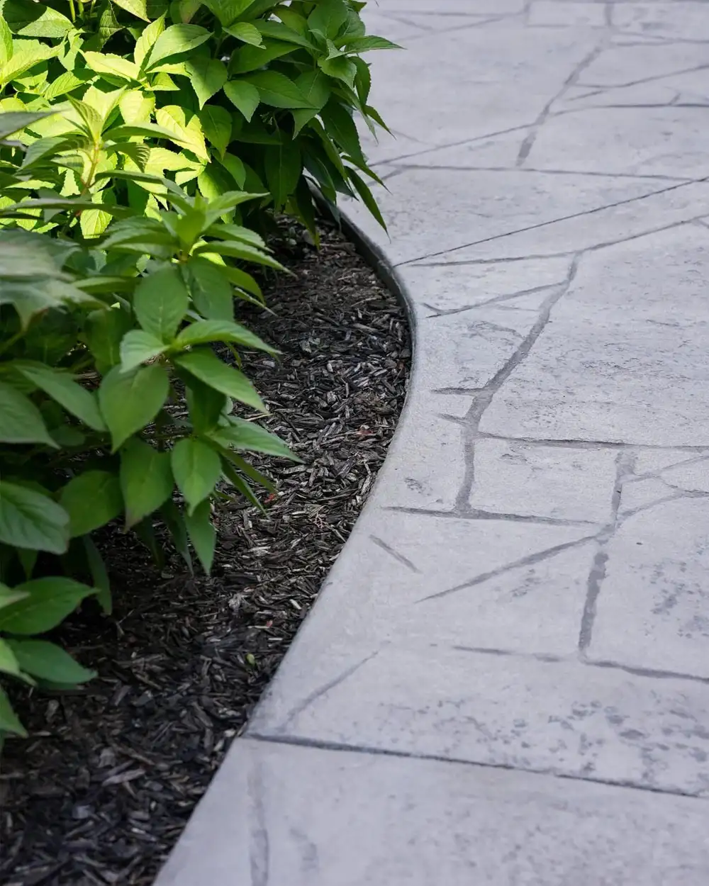 Stamped concrete close up next to foliage